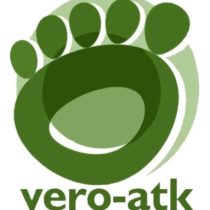 Group avatar