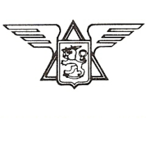 Group avatar